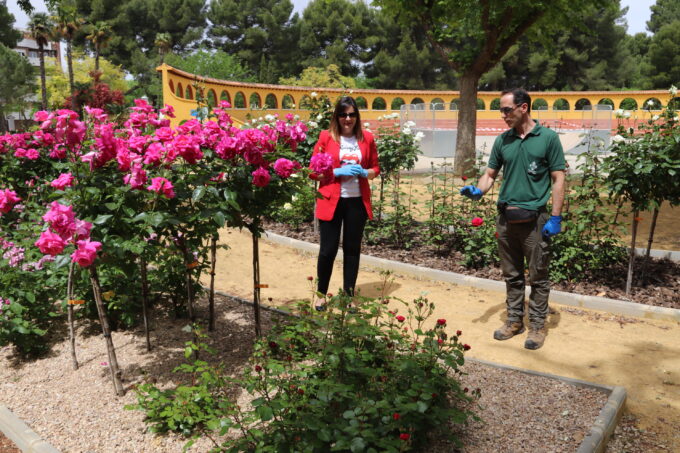  El Servicio de Parques y Jardines de Manzanares pone a punto los espacios verdes