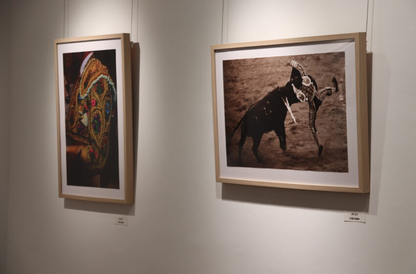  Abierta al público la exposición fotográfica de socios de la Asociación Fotográfica ‘Manzanares’