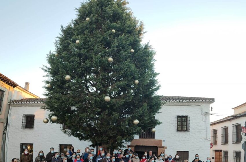 El Centro ADIN celebra el encendido del árbol de Navidad de la Plaza de Correos de Villanueva de los Infantes