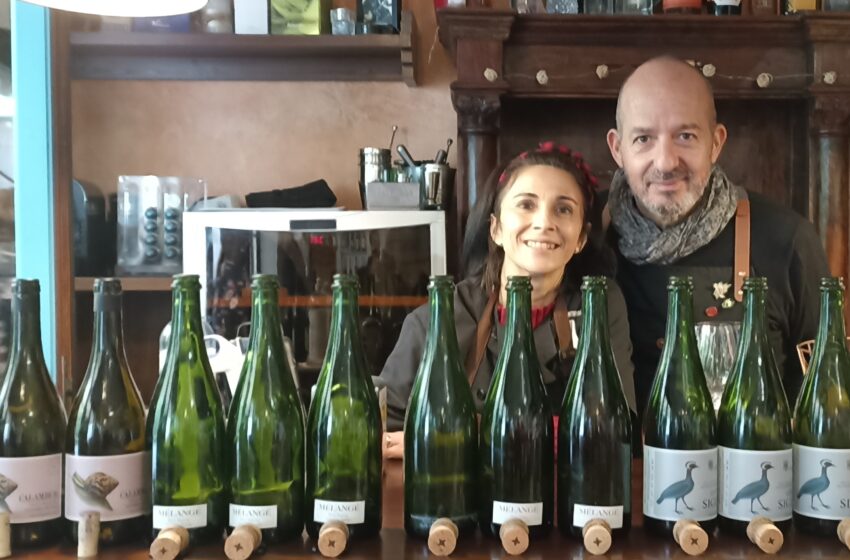  Chato Grato en Valdepeñas ha iniciado el año con una cata de espumosos
