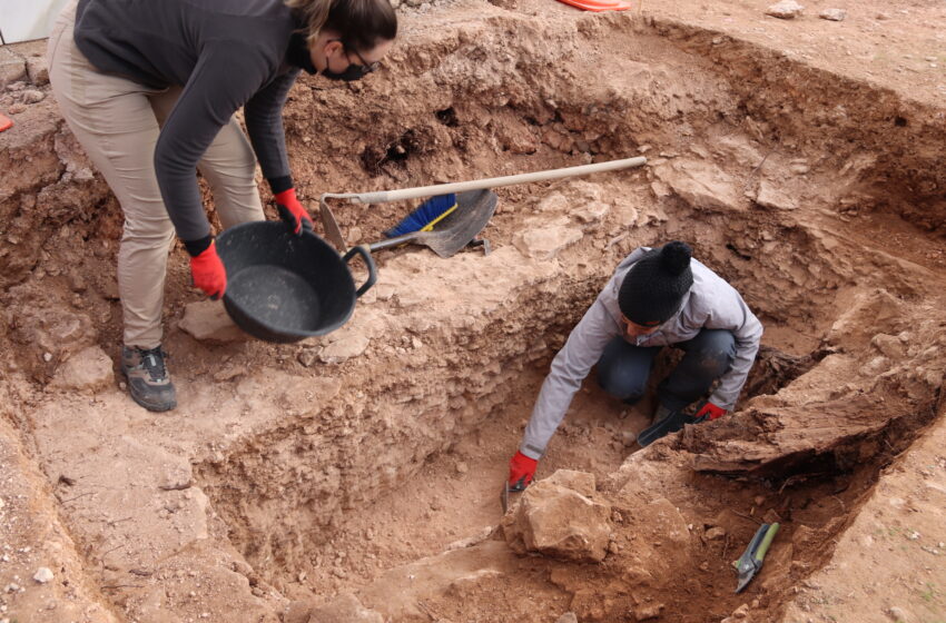  En marcha la exhumación de una nueva fosa de represaliados por el franquismo en Manzanares