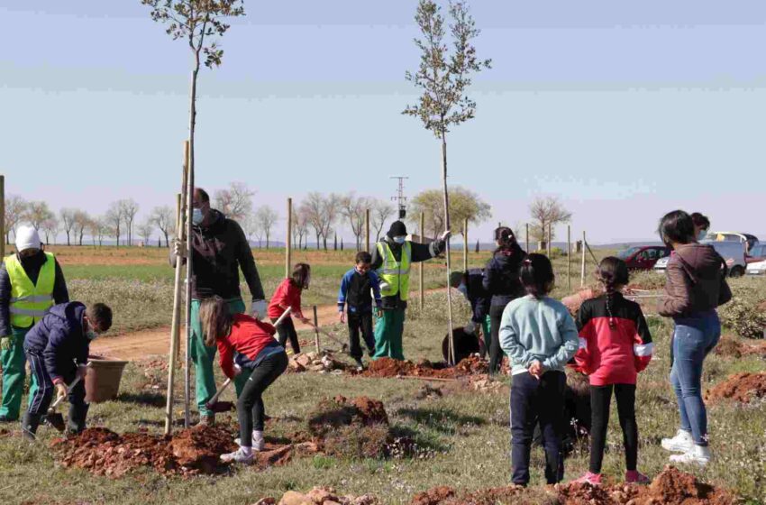  El alumnado de los colegios de Manzanares colabora en la reforestación de la Vereda de Siles