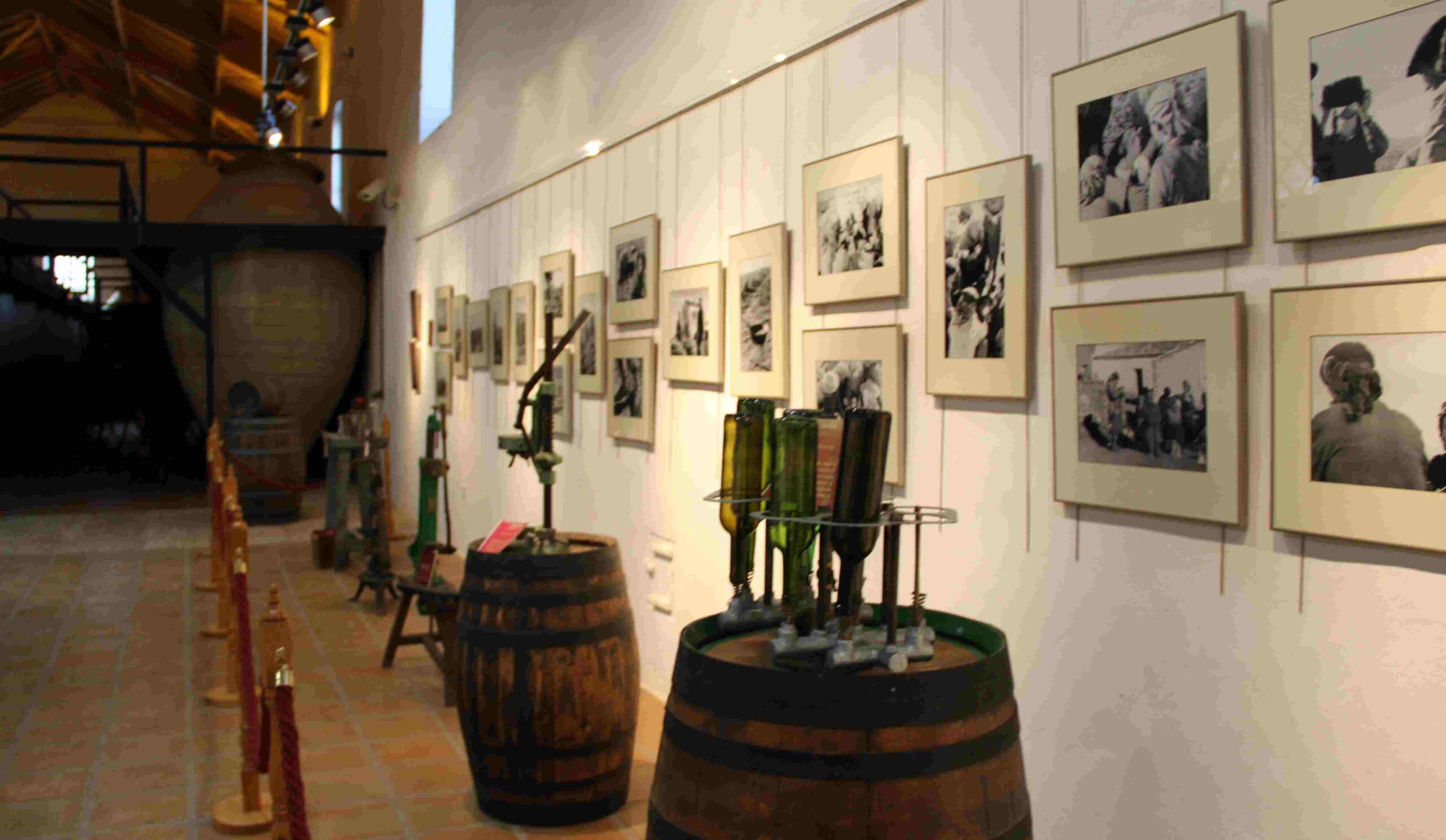  El Museo del Vino celebrará el Día Mundial del Turismo con visitas guiadas