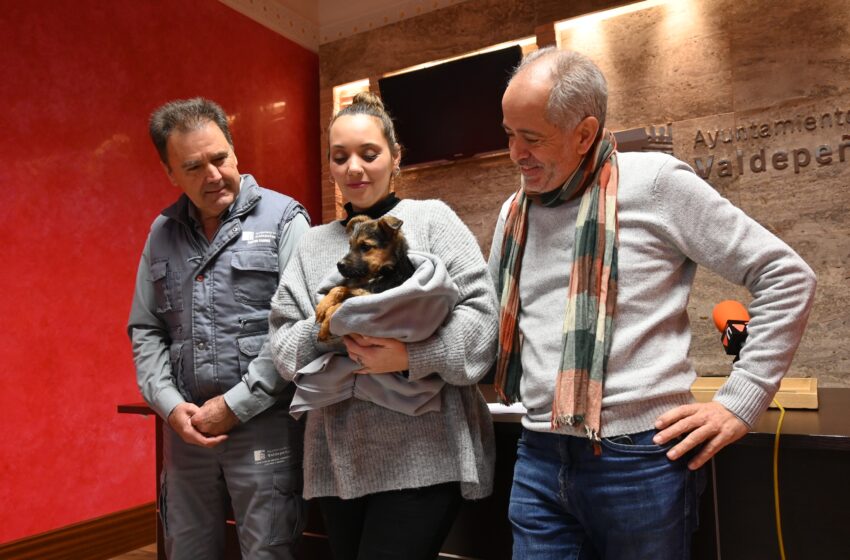  El Centro Municipal Canino de Valdepeñas vuelve a animar a la adopción en Navidad