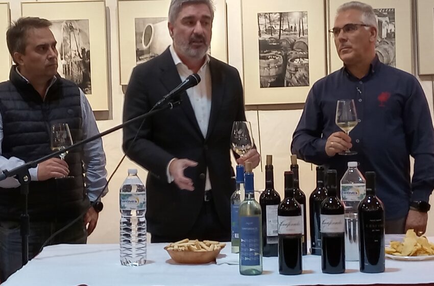  La Asociación Jóvenes Amigos del Vino de Valdepeñas ha organizado una cata de la Bodega Campos Reales