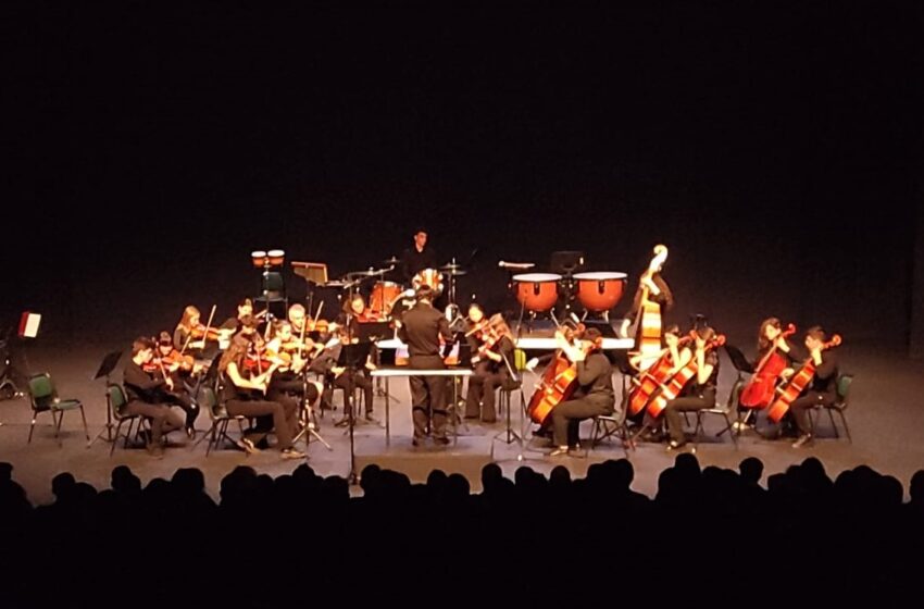  Concierto Orquesta de Cámara Municipal «Ignacio Morales Nieva» y la Orquesta del Conservatorio Profesional de Música «Pablo Sorozabal» de Puertollano