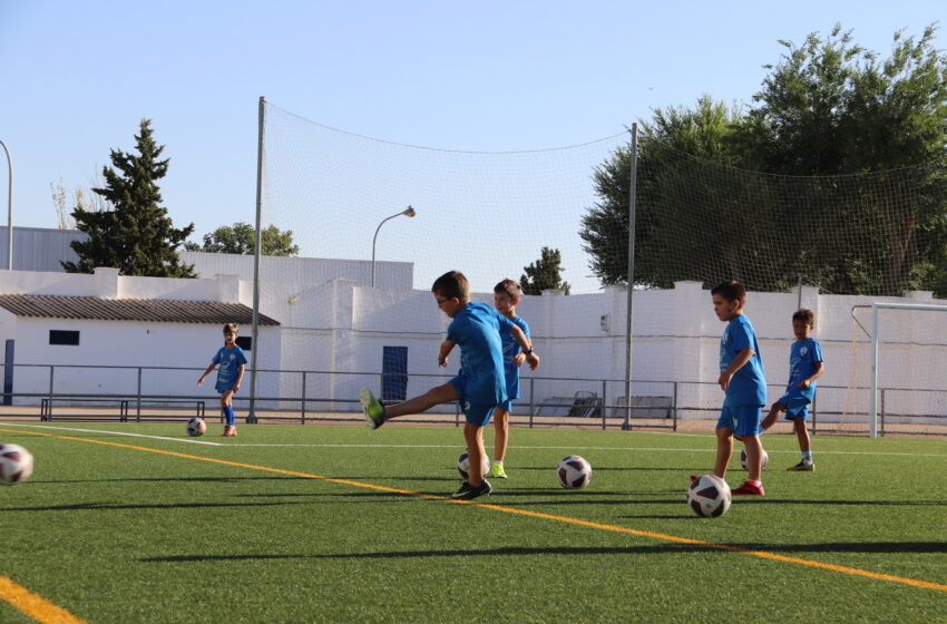  Campus deportivos de verano en Manzanares