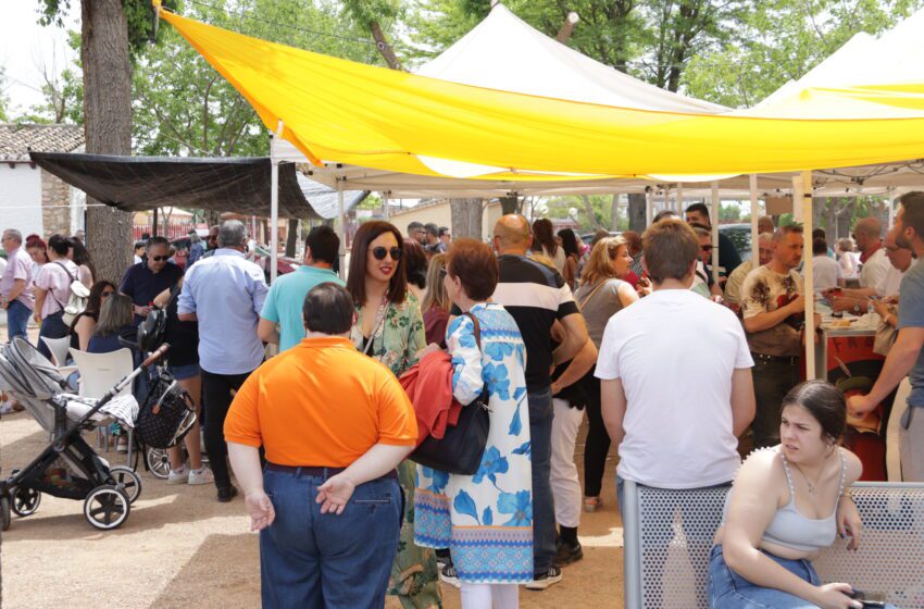  Manzanares se va de romería este fin de semana