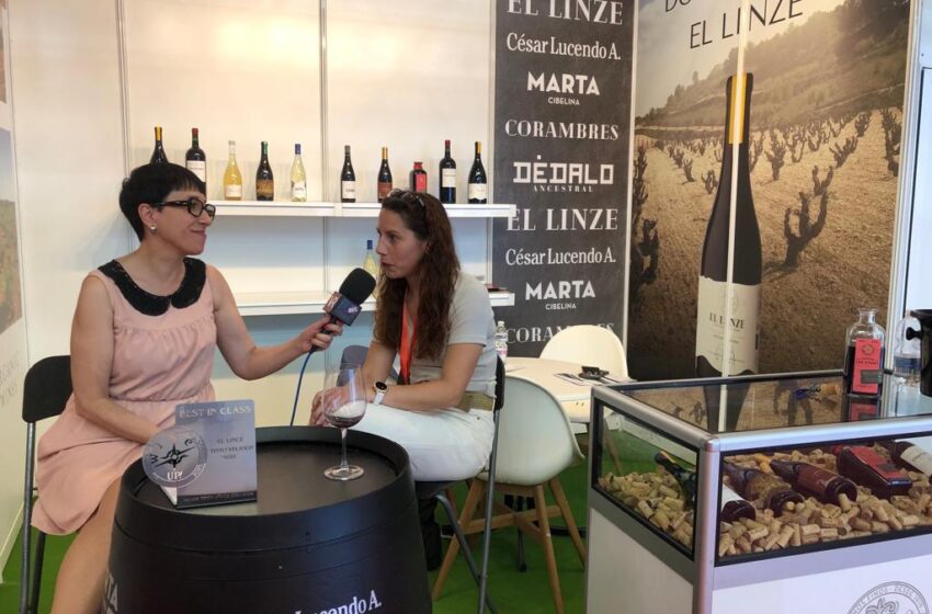  FENAVIN 2023: Dominio de El Linze, Valdepeñas