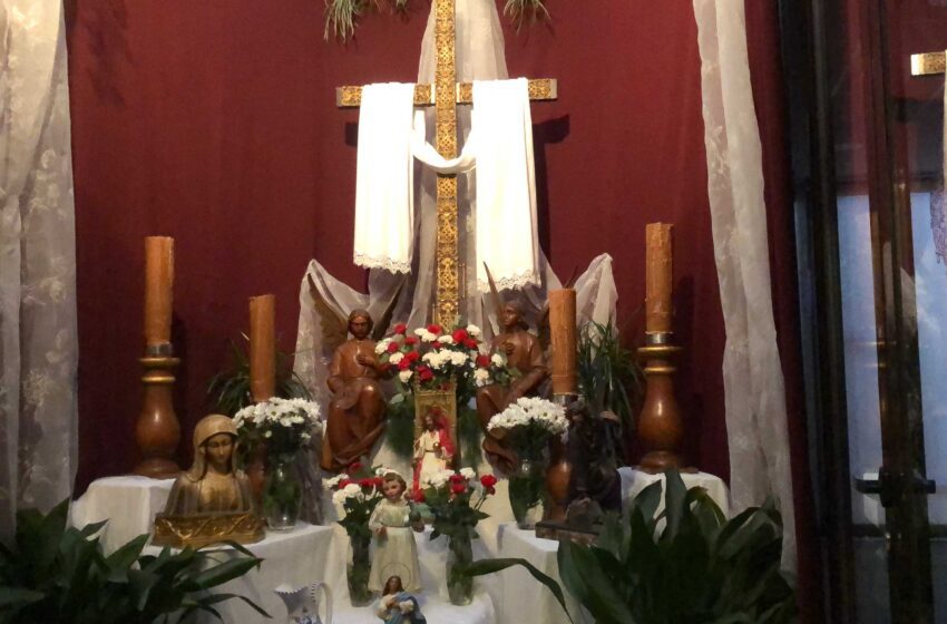  Cruz de Mayo Hermandad Misericordia y Palma
