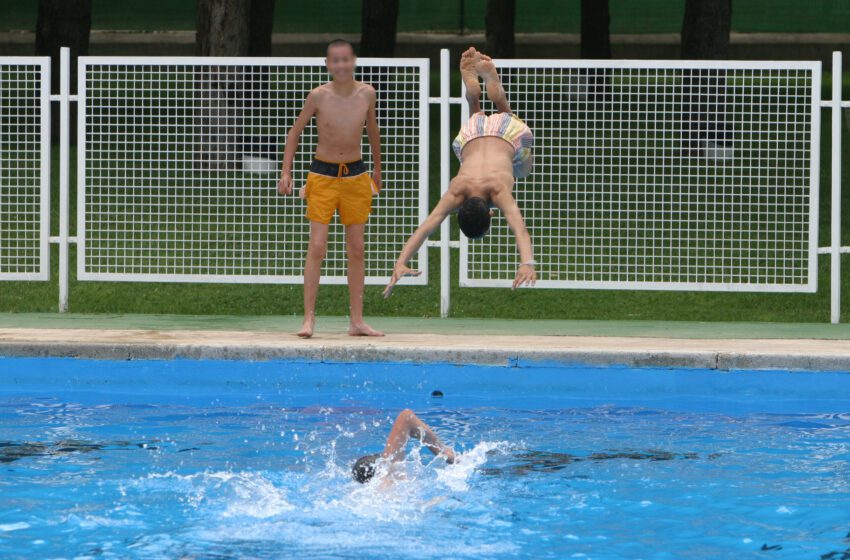  La mayoría de las lesiones medulares por zambullidas ocurrieron en piscinas, según datos del Hospital Nacional de Parapléjicos.