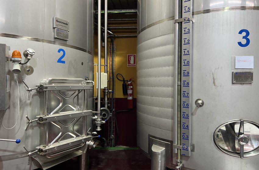  AIVE reclama destilación de crisis urgente para desbloquear mercado del vino en Castilla-La Mancha