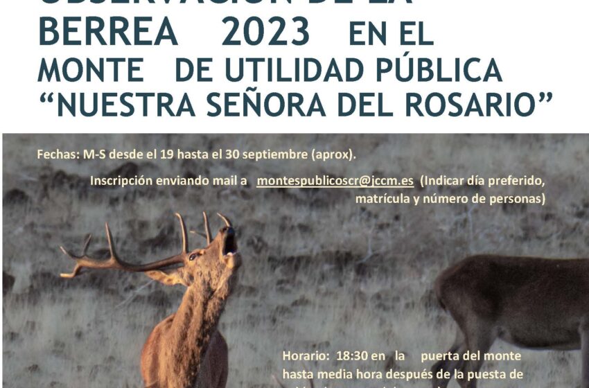 El Gobierno de Castilla-La Mancha ofrece visitas gratuitas para observar la berrea en Piedrabuena