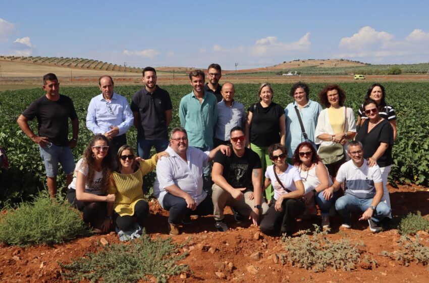  Castilla-La Mancha promociona la IGP Berenjena de Almagro para su reconocimiento a nivel nacional