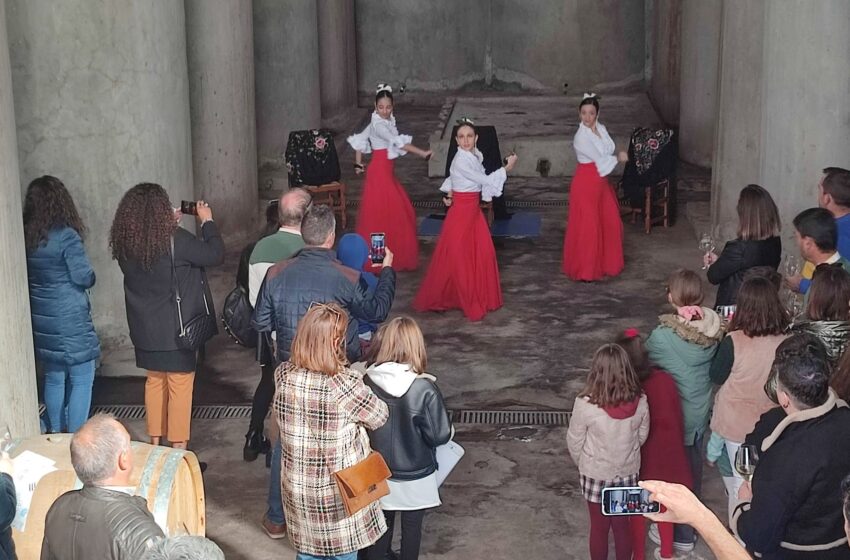  Vibrante celebración del Día del Enoturismo en la Cooperativa Vinícola de Valdepeñas con maridaje de vinos y flamenco