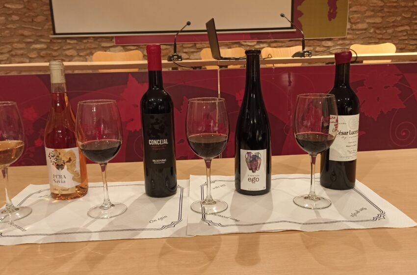 El Museo del Vino de Valdepeñas celebra exitosamente la segunda cata de la primera edición de Maduros & Elegantes