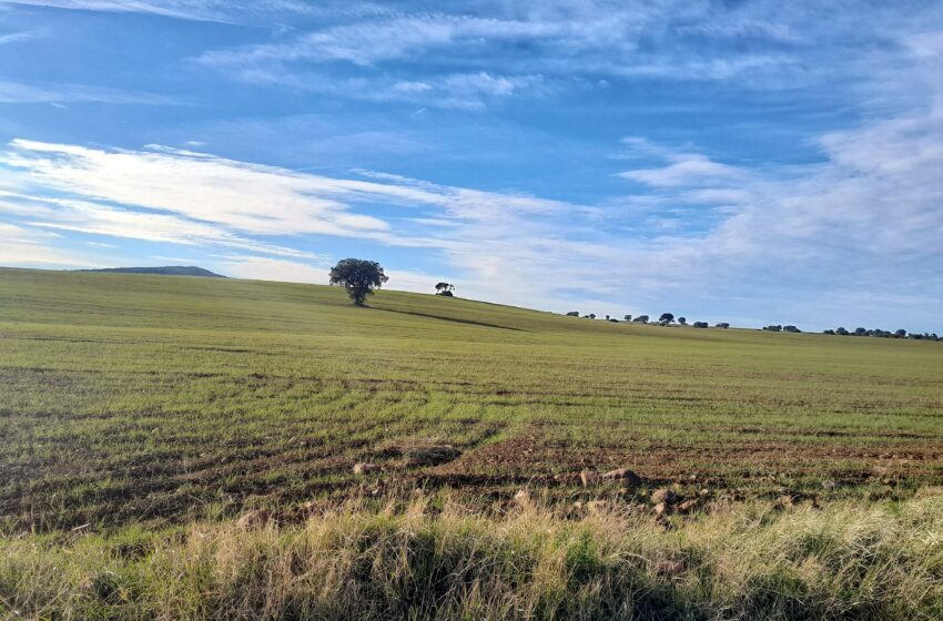  Sí a la Tierra Viva se opone a la minería de tierras raras en Ciudad Real ante sus impactos negativos