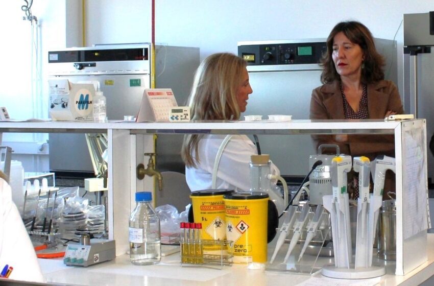  Blanca Fernández destaca el Programa Investigo como una oportunidad para mejorar el empleo de calidad entre los jóvenes