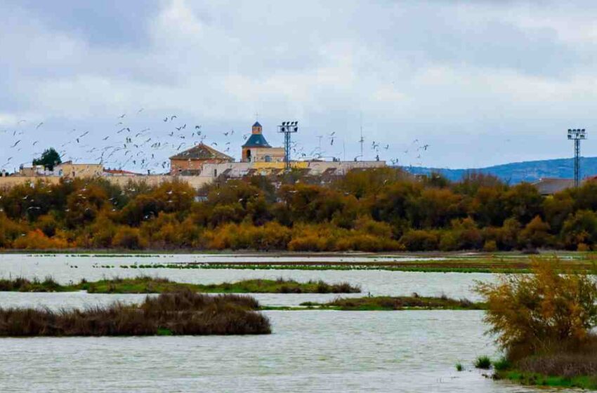  Los flamencos vuelven a La Inesperada de Pozuelo de Calatrava