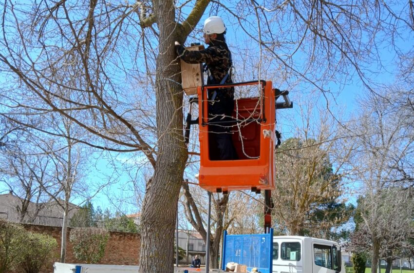  El Plan de Renaturalización Urbana de Valdepeñas invertirá este año 465.000 euros