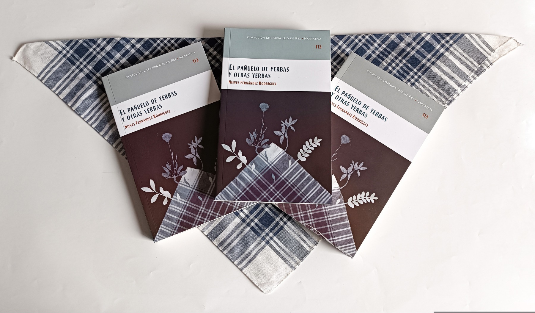  Nieves Fernández presenta “El pañuelo de yerbas y otras yerbas, publicado por la BAM en la Colección Literaria Ojo de Pez