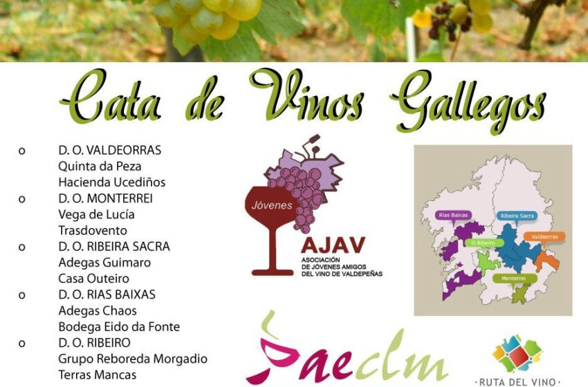  La Asociación de Enología de Castilla la Mancha y La Asociación Jóvenes Amigos del Vino de Valdepeñas celebran una CATA DE VINOS GALLEGOS en Valdepeñas.