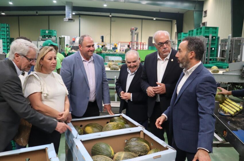  Mercomancha destaca en el agroalimentario.