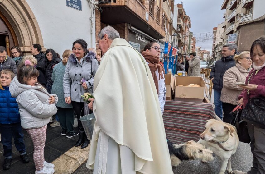  La Iglesia de San Marcos celebra la Bendición de los Animales por San Antón