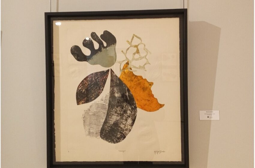  Microrrelato y artículo de opinión sobre la exposición “Inventario”, de María José Barrios