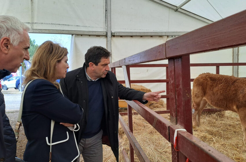  Valverde reafirma el apoyo de la Diputación al sector primario en la Feria Ganadera La Cuerda