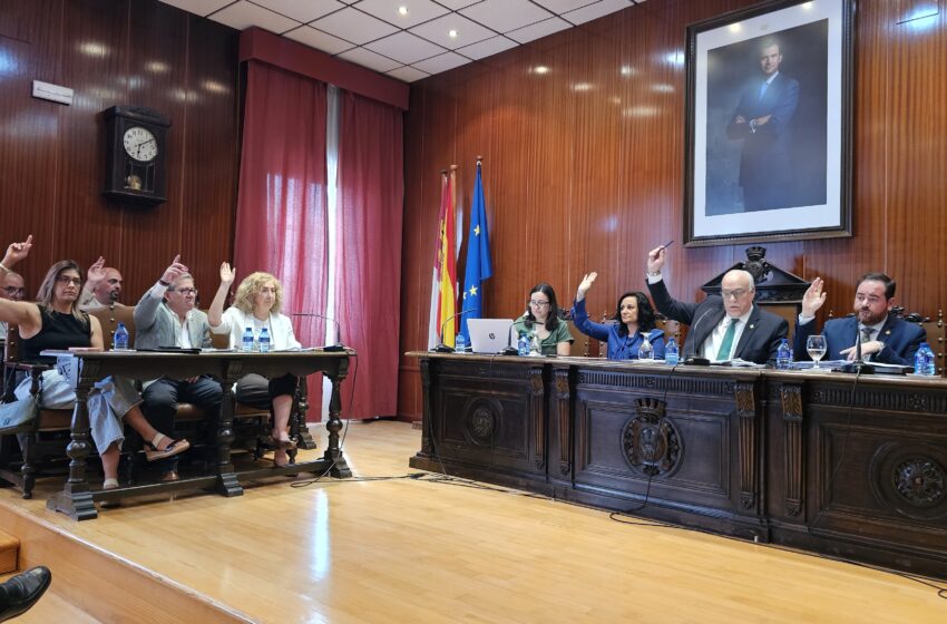  El alcalde ratifica en el pleno su defensa del AVE Madrid-Jaén por Manzanares
