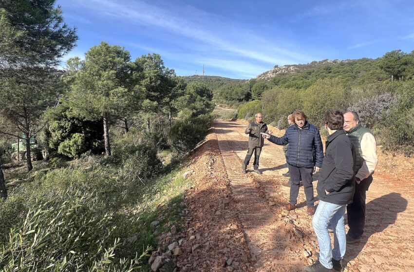  El Gobierno de García-Page convoca subvenciones para la conservación de masas forestales
