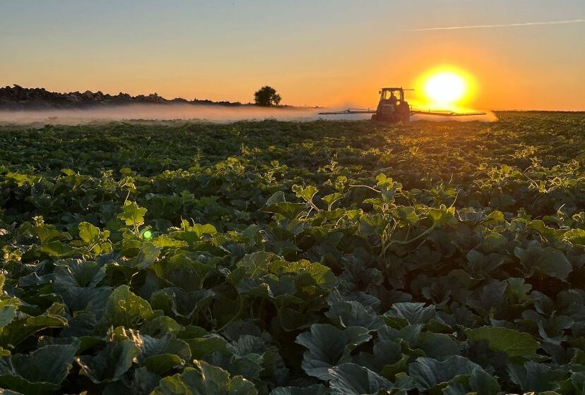  ASAJA Ciudad Real advierte de los riesgos de las altas temperaturas en el campo y pide extremar las medidas de prevención