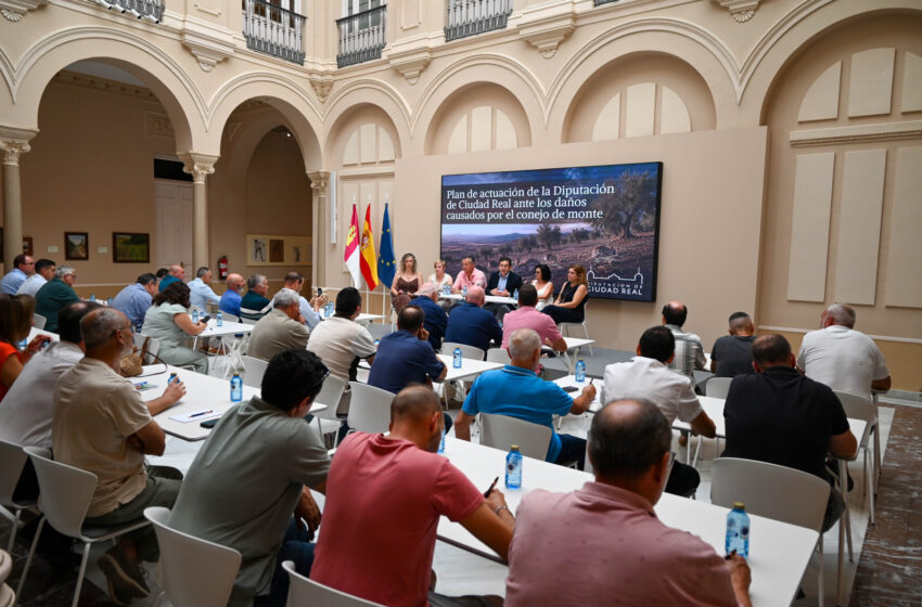 La Diputación de Ciudad Real busca soluciones para mitigar los daños por la plaga de conejos.