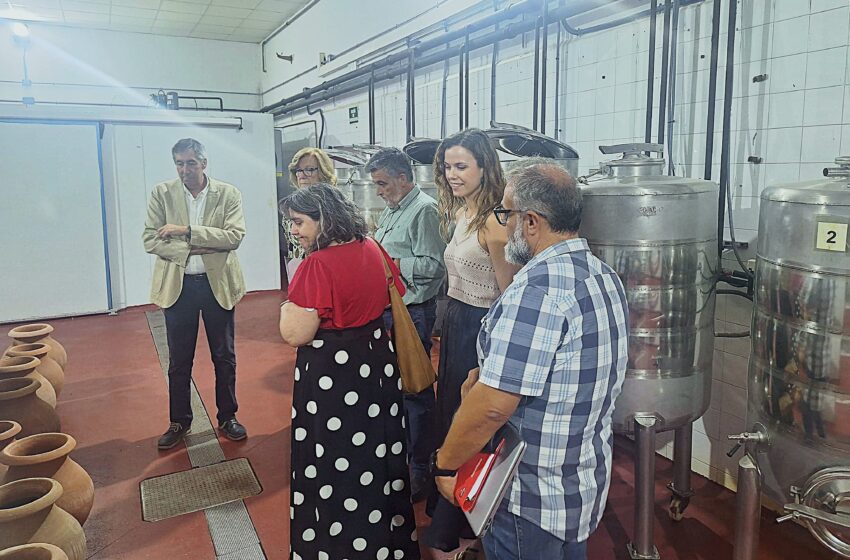  El IES Francisco García Pavón de Tomelloso estrena un certificado de profesionalidad vitivinícola