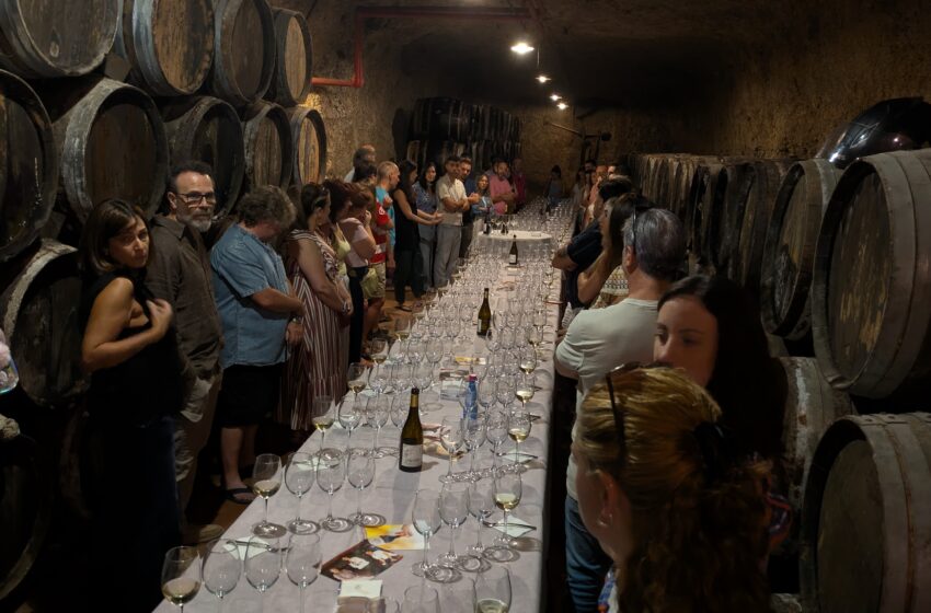  La Antigua Bodega Los Llanos acercó al público los vinos centenarios de Romero de Ávila